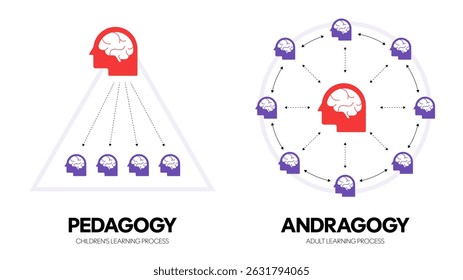Andragogia processo de aprendizagem para adultos comparação entre Pedagogia crianças processo de aprendizagem diagrama infográfico banner modelo com ícone apresentação vetorial. Educação. Desenvolvimento do conhecimento. Ilustração