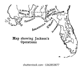 Andrew Jackson fue un soldado estadounidense y en el apogeo de la operación Jackson tuvo a más de 100 hombres, mujeres y niños esclavizados trabajando en su dibujo de la línea de cosecha de vintage.