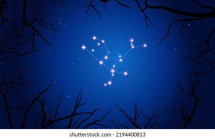 Сonstellation of Andromeda. Stars in the night sky with silhouette of tree. Constellation scheme.