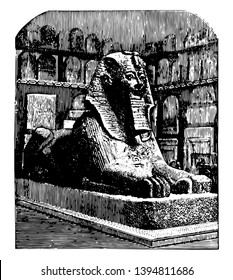 Androsphinx of Thothmes sphinx sphynx most familiar humans head powerful pharaoh vintage line drawing or engraving illustration.