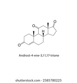 Androst-4-ene-3,11,17-trione skeletal structure.Androstene steroid compound schematic illustration. Simple diagram, chemical formula.