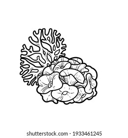 Anemone bush and coral object coloring book linear drawing isolated on white background