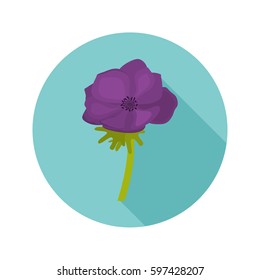Anemone color flat icon for web and mobile design