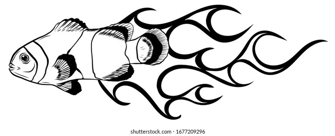 Anemone fish isolated on white. Clownfish 