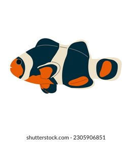Anemone fish Single cute 10 on white background, vector illustration. 