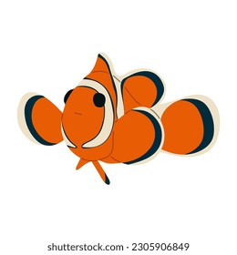 Anemone fish Single cute 7 on white background, vector illustration. 