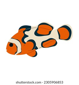 Anemone fish Single cute 8 on white background, vector illustration. 