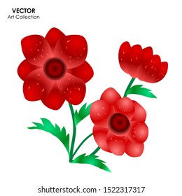 Anemone flower isolate, Vector illustration design element