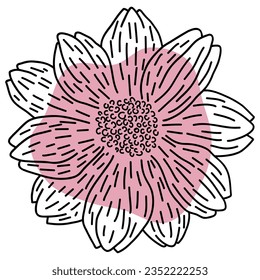 Anemone flower line with shape. Vector illustration with flower theme. Suitable for wedding invitation, aesthetic decoration, social media post, banner, promotion, advertising, etc.