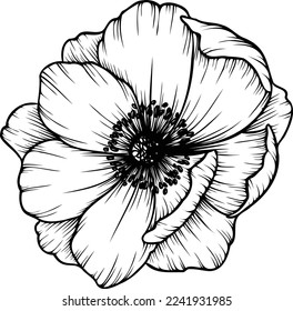 Anemone flower. Linear poppy flower. Hand drawn illustration. This art is perfect for invitation cards, spring and summer decor, greeting cards, posters, scrapbooking, print, etc.