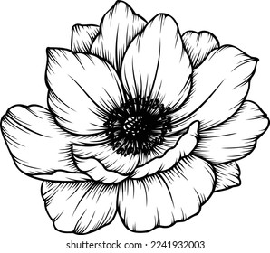 Anemone flower. Linear poppy flower. Hand drawn illustration. This art is perfect for invitation cards, spring and summer decor, greeting cards, posters, scrapbooking, print, etc.