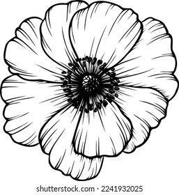 Anemone flower. Linear poppy flower. Hand drawn illustration. This art is perfect for invitation cards, spring and summer decor, greeting cards, posters, scrapbooking, print, etc.