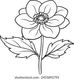 Anemone flower plant outline illustration coloring book page design, Anemone flower plant black and white line art drawing coloring book pages for children and adults