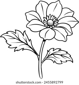 Anemone flower plant outline illustration coloring book page design, Anemone flower plant black and white line art drawing coloring book pages for children and adults