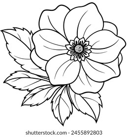 Anemone flower plant outline illustration coloring book page design, Anemone flower plant black and white line art drawing coloring book pages for children and adults