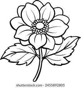 Anemone flower plant outline illustration coloring book page design, Anemone flower plant black and white line art drawing coloring book pages for children and adults