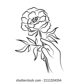 Anemone Flower In A Tender Hand. Female Hand Holding Rose Flower. Line Art, Line Drawing, Contour, Linear. Isolated Vector Black And White Illustration. Tattoo Design. Logo Idea. Peony