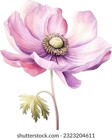 Anemone Flower Watercolor illustration. Hand drawn underwater element design. Artistic vector marine design element. Illustration for greeting cards, printing and other design projects.