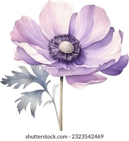 Anemone Flower Watercolor illustration. Hand drawn underwater element design. Artistic vector marine design element. Illustration for greeting cards, printing and other design projects.