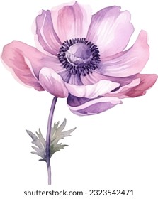 Anemone Flower Watercolor illustration. Hand drawn underwater element design. Artistic vector marine design element. Illustration for greeting cards, printing and other design projects.