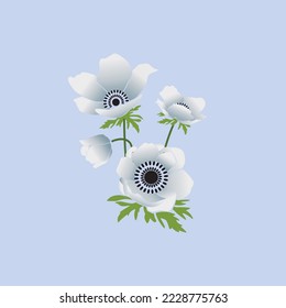 Anemone Flowers are commonly called windflowers. They are native to the temperate and subtropical regions of all continents except Australia, New Zealand and Antarctica