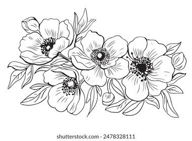 Anemone Flowers Drawing Contour Line Illustration