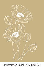 Anemone Flowers Drawing Vector Illustration And Line Art. Vector Line Art With Poppies. Floral Background Wallpaper. Flower Ornament Good For Web, Print And Stencil.