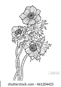 Anemone flowers, forest plant with line pattern. Vector artwork. Coloring book page for adult. Gift for girl women. Black and white line