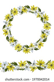 Anemone flowers vector illustration isolated on white background. Hand drawn spring primroses wreath and seamless border. Leaves, petals, inflorescences, branches. Ready made design for postcards.