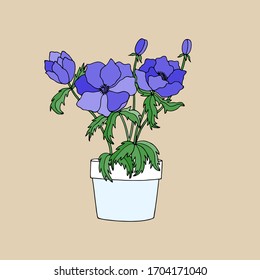 Anemone Hellebore Flowers Or Christmas Rose In A Pot. Eps10 Vector Stock Illustration. Hand Drawing. 