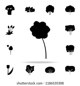 anemone icon. Plants icons universal set for web and mobile