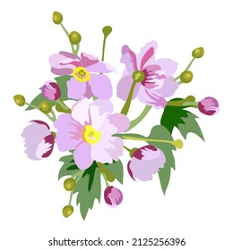 Anemone japanese, anemone, vector cartoon drawing of a bouquet of pink flowers with buds and leaves isolated on a white background