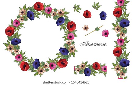 Anemone Multi-colored flowers. Set of isolated elements from anemone flowers on a white background. Wreath. Seamless pattern brush. Wedding, festive decor set. Vector stock illustration. Botanica.