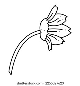 Anemone oak flower doodle. Hand drawn outline vector illustration.