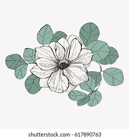 Anemone surrounded by eucalyptus leaves
