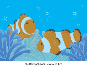 Anemone and two clownfish in the ocean