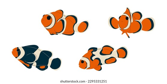 Anemonefish 3 cute on white background, vector illustration. 