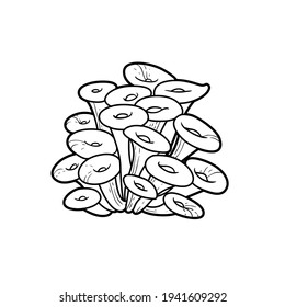 Anemones big colony object coloring book linear drawing isolated on white background
