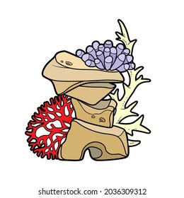 Anemones and coral grow on stone  color variation for coloring page isolated on white background