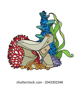 Anemones, coral and tall algae growing on stones object  color variation for coloring page isolated on white background