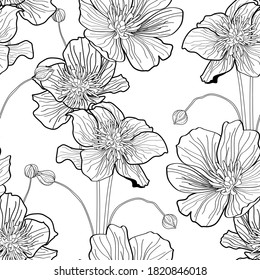 Anemones deisy camomile flower illustration. Black white line seamless pattern.