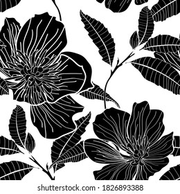 Anemones deisy camomile flower illustration. Black white line seamless pattern.