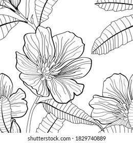 Anemones deisy camomile flower illustration. Black white line seamless pattern.