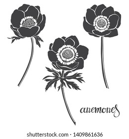Anemones. Graphic set , isolated elements on white background. Hand drawn vector illustration, sketch. Silhouette.