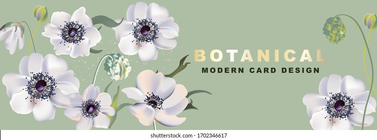 Anemones  realistic floral header, Watercolor flower bloom design for cosmetics, spa, perfume, health care products, aroma, wedding invitation, website banner.