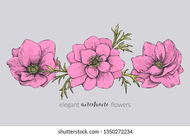 anemones, a set of 3 isolated pink flowers; hand drawn, outline, vector illustration; elegant decorative elements for design purposes; popular wedding decor; perfect for greeting cards, invitations