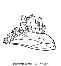 Anemone und Schwämme auf Sandstein-Linearzeichnung für Farbbuch einzeln auf weißem Hintergrund