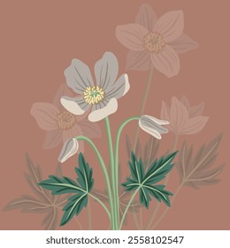 anemones, windflowers, spring flowers, vector drawing wild plants , floral composition, hand drawn botanical illustration