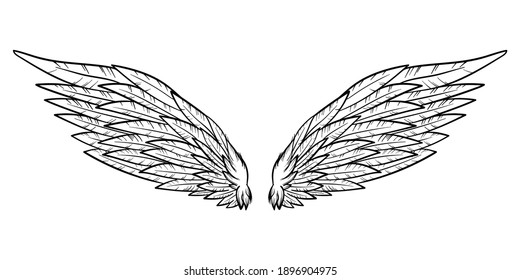 Angel or bird wings abstract sketch isolated on white. vector doodle illustration. For your design