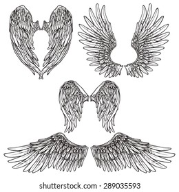 Angel Or Bird Wings Abstract Sketch Set Isolated Vector Illustration